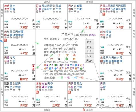 丑宮|紫微命盤解析——太陽、太陰在丑未